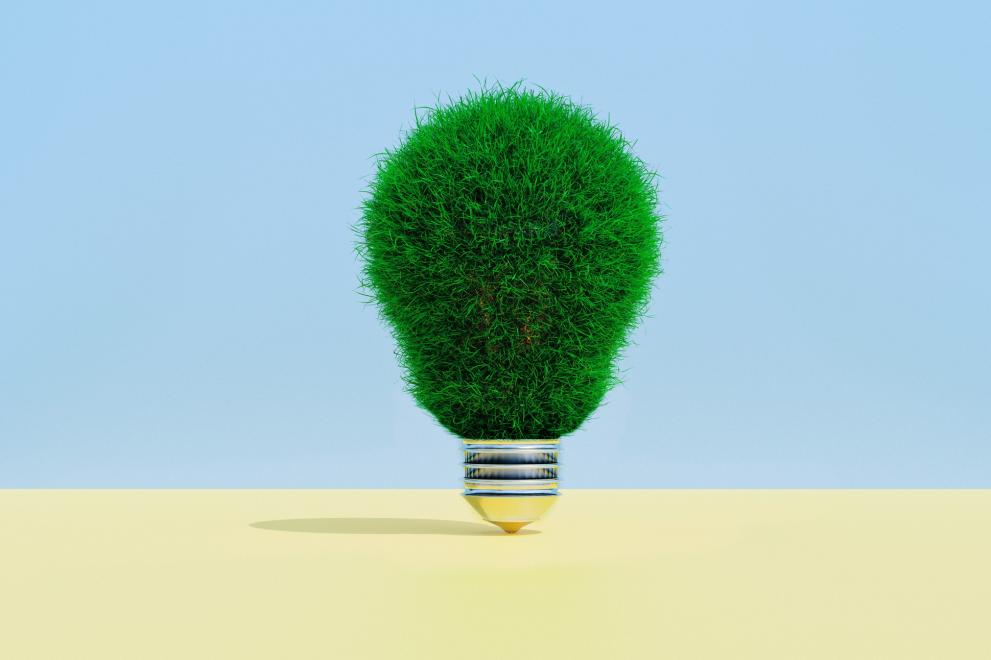 bioeconomy