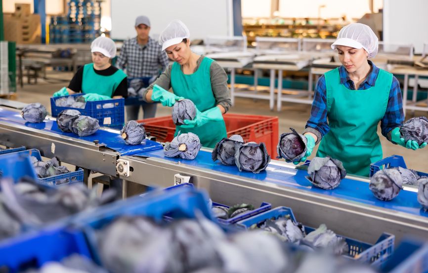 Operaie agroalimentare