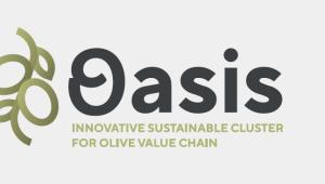 foto Oasis