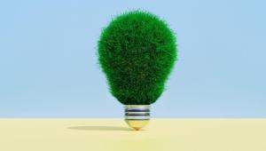 bioeconomy