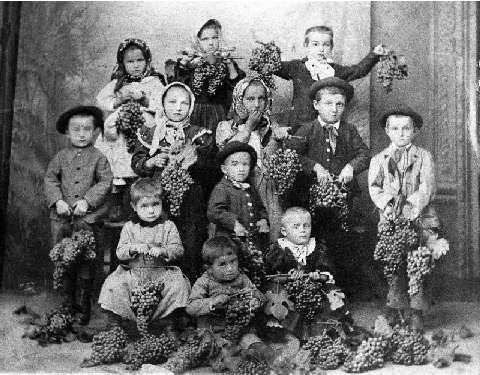 Figli di dipendenti della tenuta il giorno della festa della vendemmia ad Alba, 1895