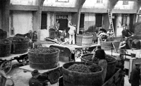 Operai intenti alla lavorazione della vinaccia presso l'edificio storico della distilleria