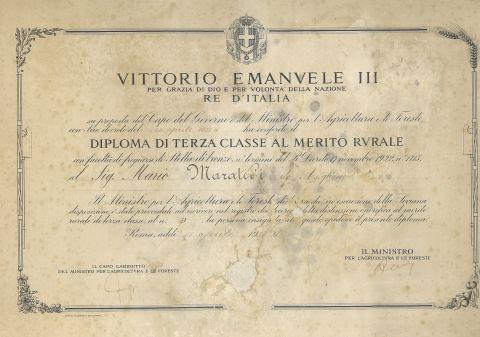 Diploma di terza classe al merito rurale rilasciato a Mario Maratelli, 1933 