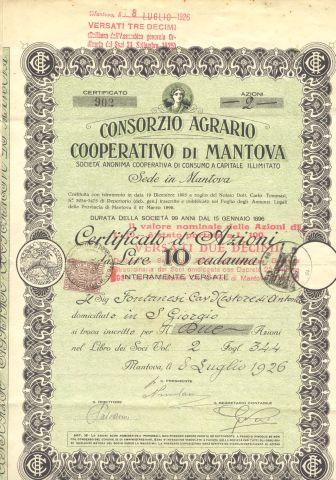 Certificato azionario del Consorzio agrario cooperativo di Mantova, 1926