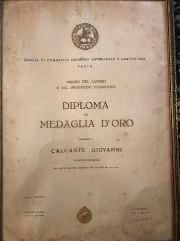 Disploma di medaglia d'oro rilasciato dalla Camera di commercio di Pavia, 1966