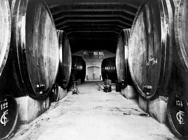 La cantina con le botti per la conservazione del vino   
